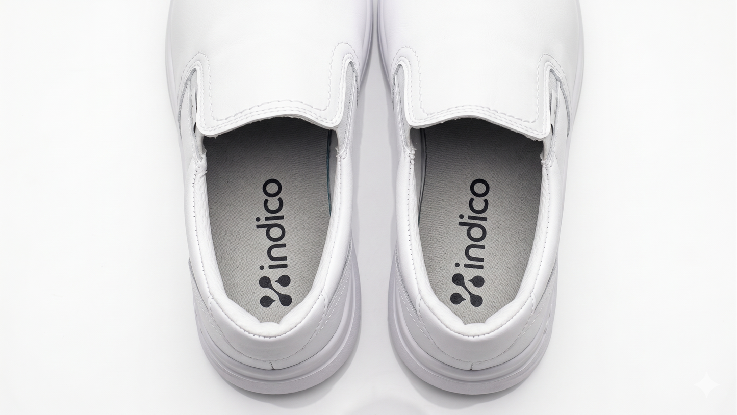 MODELO 002